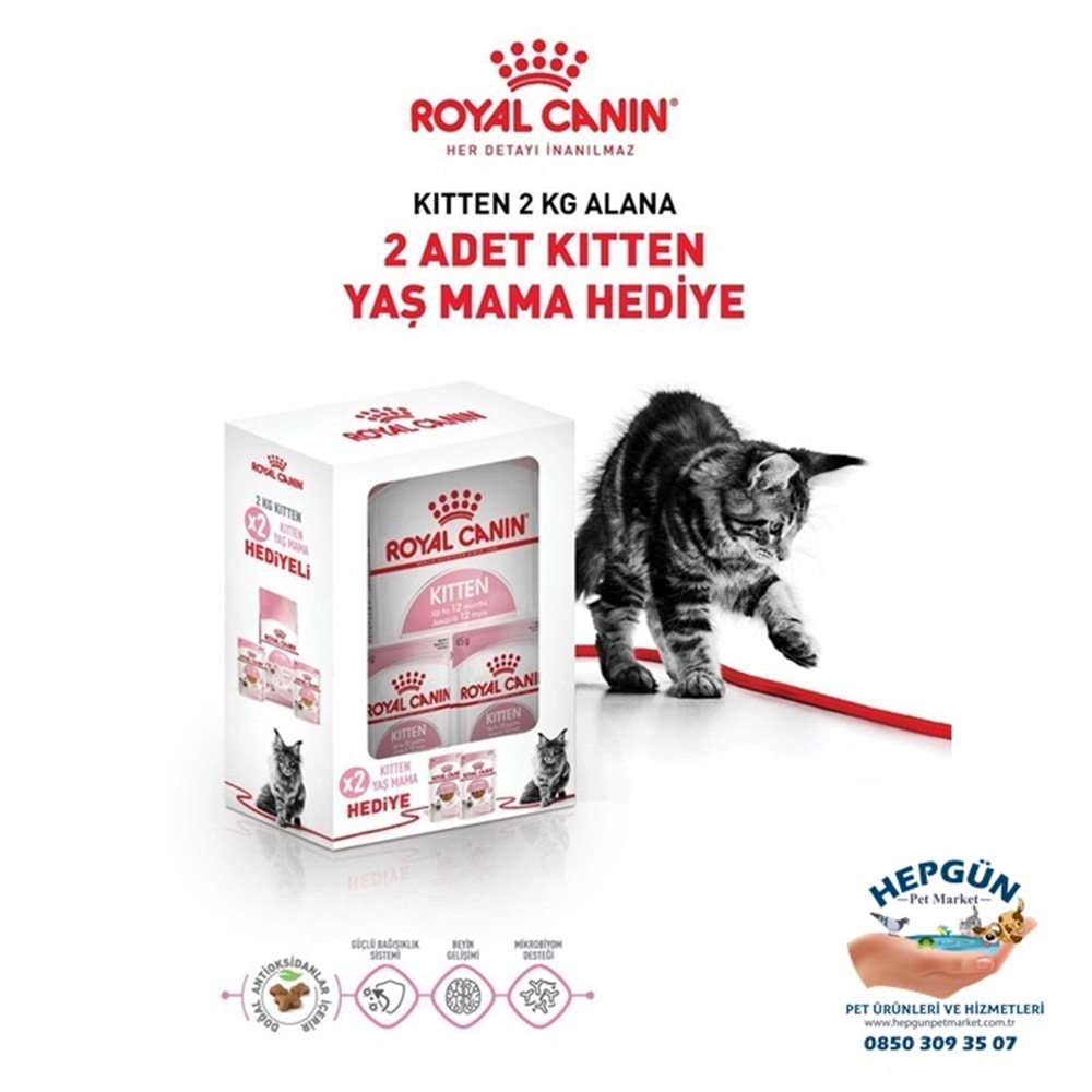 Royal Canin Kitten Yavru Kedi Maması 2 Kg - Yaş Mama Hediyeli