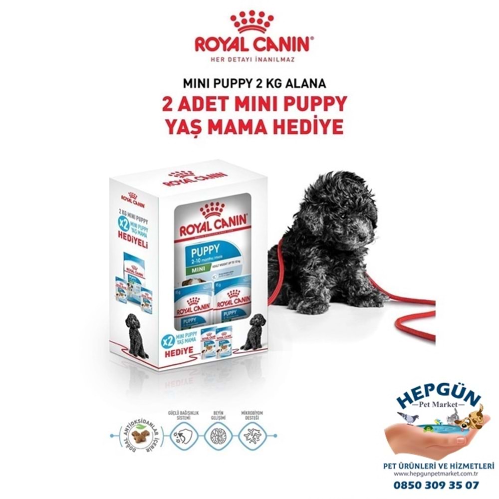 Royal Canin Puppy Mini Küçük Irk Yavru Köpek Maması 2 Kg - Yaş Mama Hediyeli