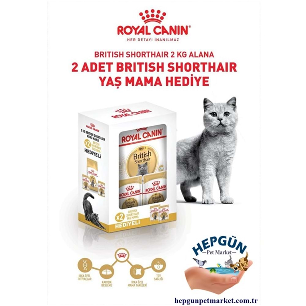 Royal Canin Adult British Shorthair Yetişkin Kedi Maması 2 Kg - Yaş Mama Hediyeli