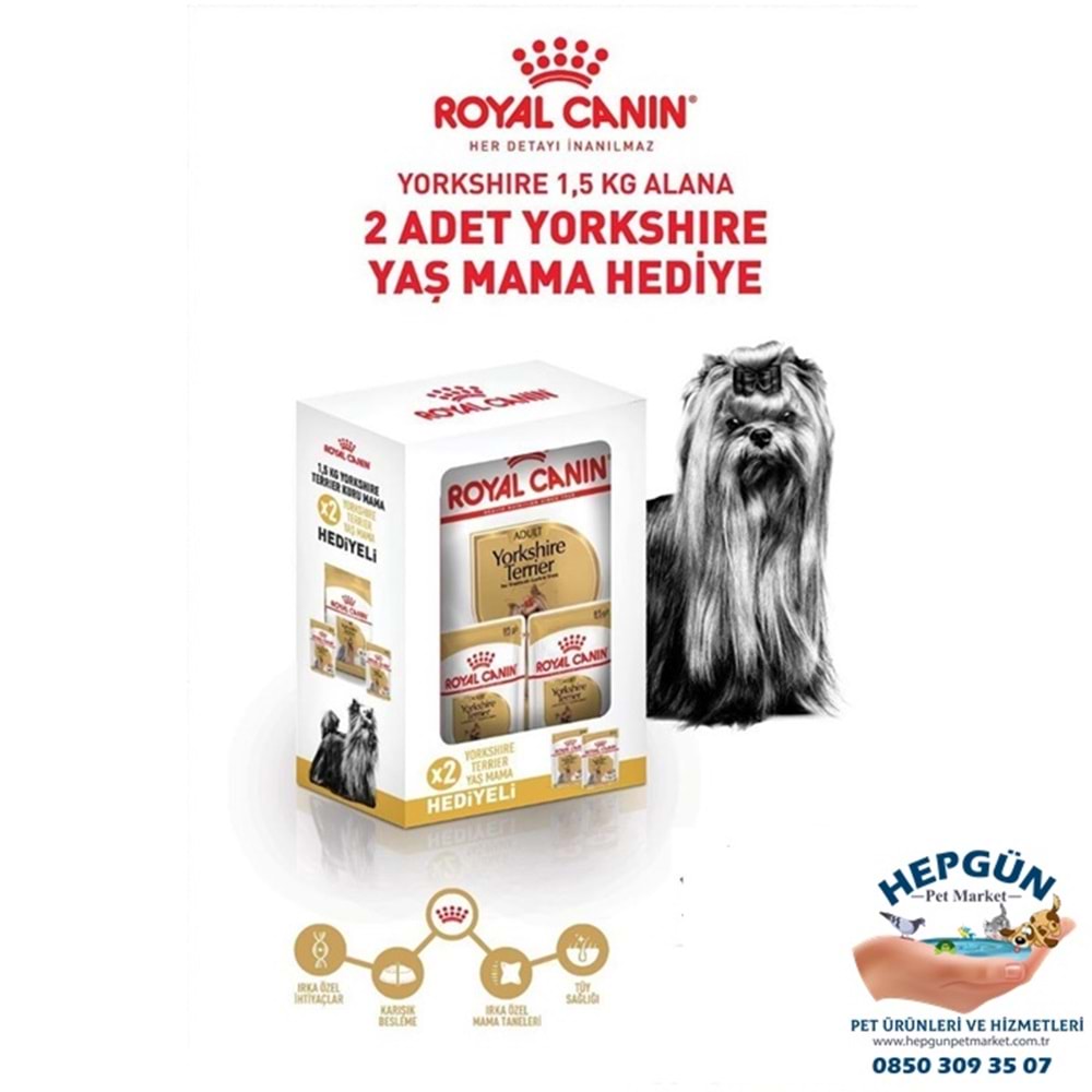 Royal Canin Adult Yorkshire Terrier Yetişkin Köpek Maması 1,5 Kg - Yaş Mama Hediyeli