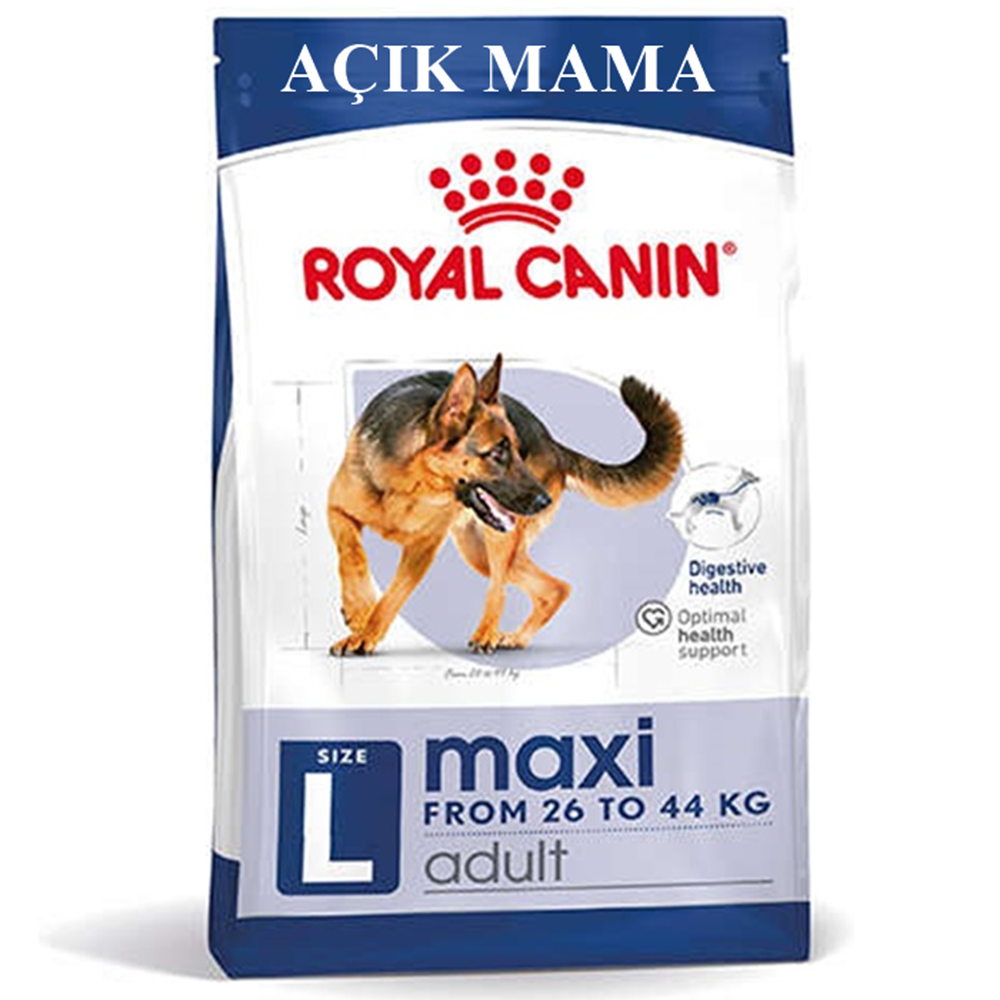 Royal Canin Maxi Adult Büyük Irk Yetişkin Açık Köpek Maması 1 Kg