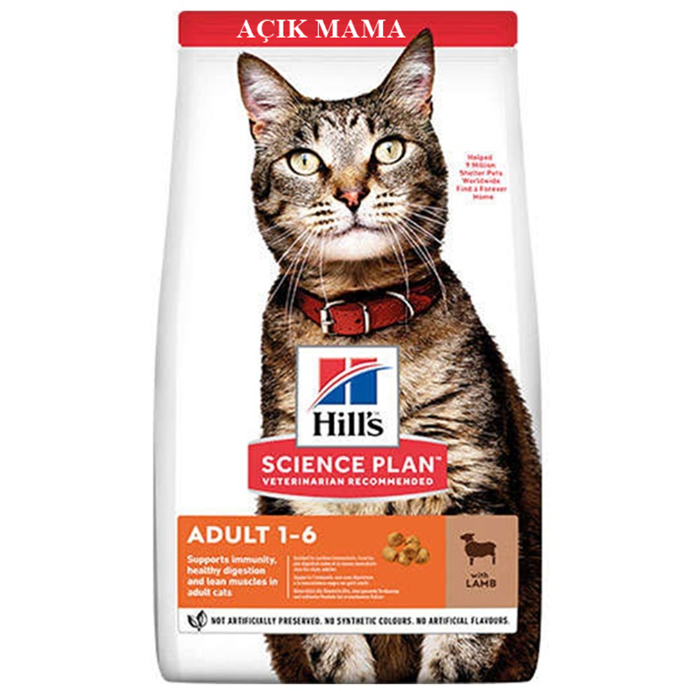 Hills Adult 1-6 With Lamb Kuzu Etli Yetişkin Açık Kedi Maması 500 Gr