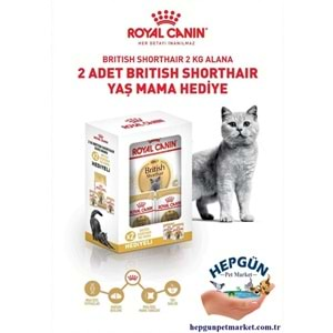 Royal Canin Adult British Shorthair Yetişkin Kedi Maması 2 Kg - Yaş Mama Hediyeli