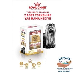 Royal Canin Adult Yorkshire Terrier Yetişkin Köpek Maması 1,5 Kg - Yaş Mama Hediyeli