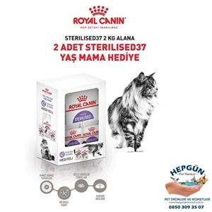 Royal Canin Regular Sterilised 37 Kısırlaştırılmış Kedi Maması 2 Kg - Yaş Mama Hediyeli