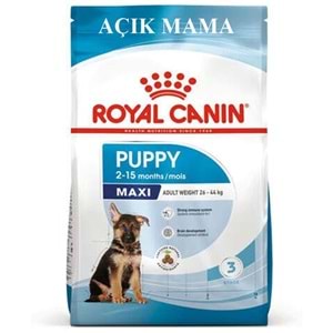 Royal Canin Maxi Puppy Büyük Irk Yavru Açık Köpek Maması 500 Gr