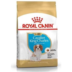 Royal Canin Puppy Cavalier King Charles Yavru Köpek Maması 1,5 Kg