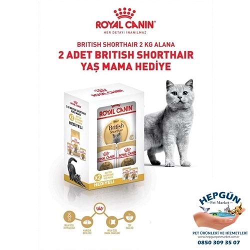 Royal Canin Adult British Shorthair Yetişkin Kedi Maması 2 Kg - Yaş Mama Hediyeli