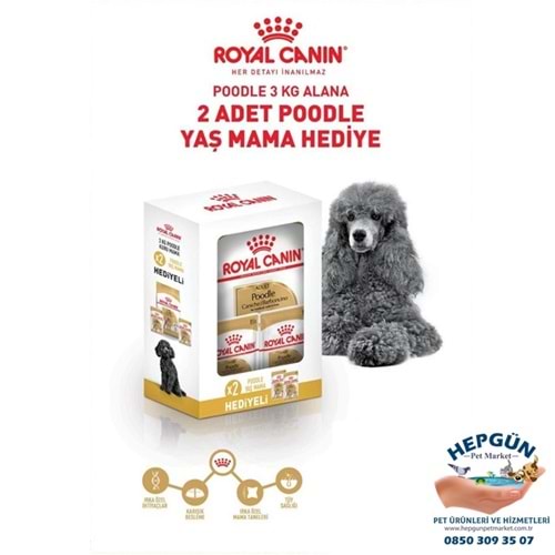 Royal Canin Adult Poodle Yetişkin Köpek Maması 3 Kg - Yaş Mama Hediyeli