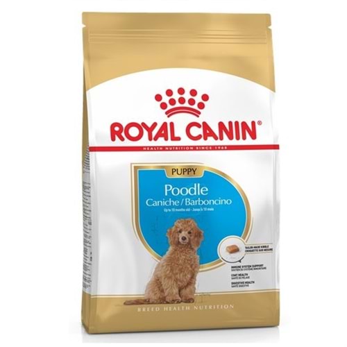 Royal Canin Puppy Poodle Yavru Köpek Maması 3 Kg
