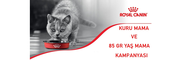 Royal Canin Kedi Yaş Mamaları'nda Kampanya !!!