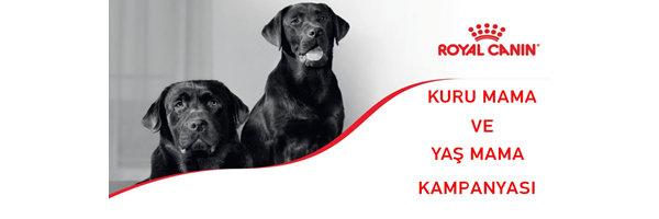 Royal Canin Köpek Yaş Mamaları'nda Kampanya !!!